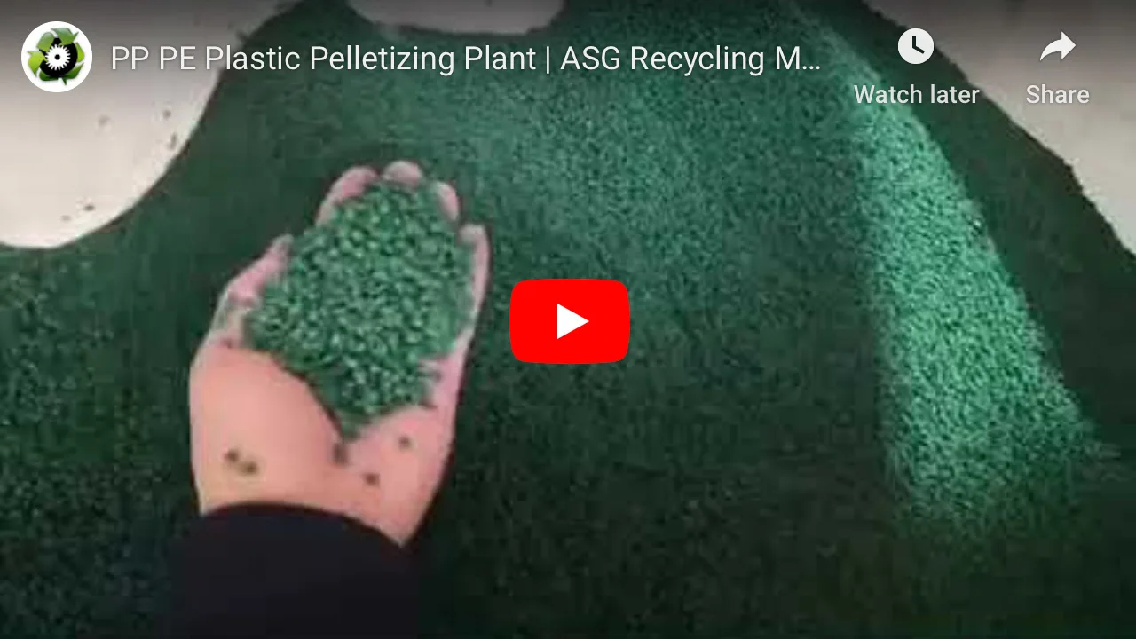PP PE Plastic Pelletizing Plant in Japan